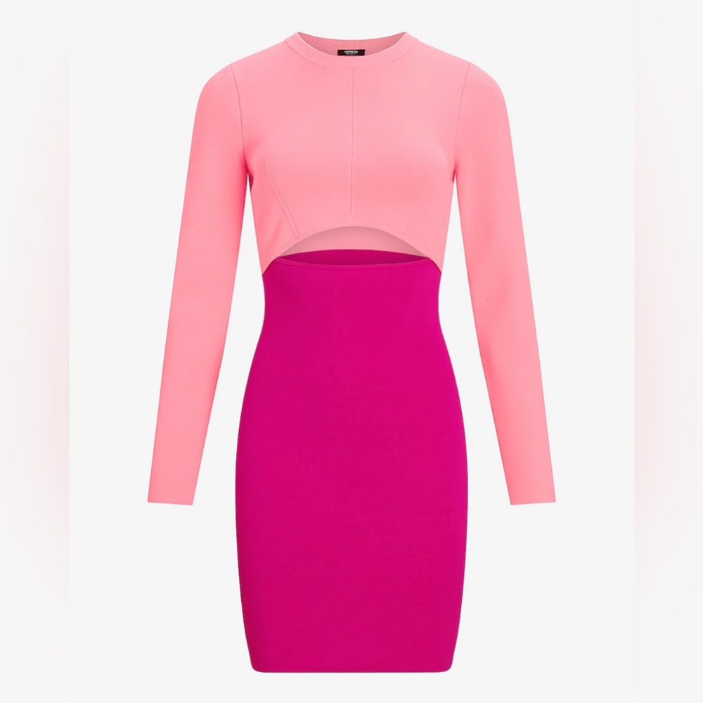 Express Body Contour Long Sleeve Color Block Cutout Mini Sweater Dress | XL